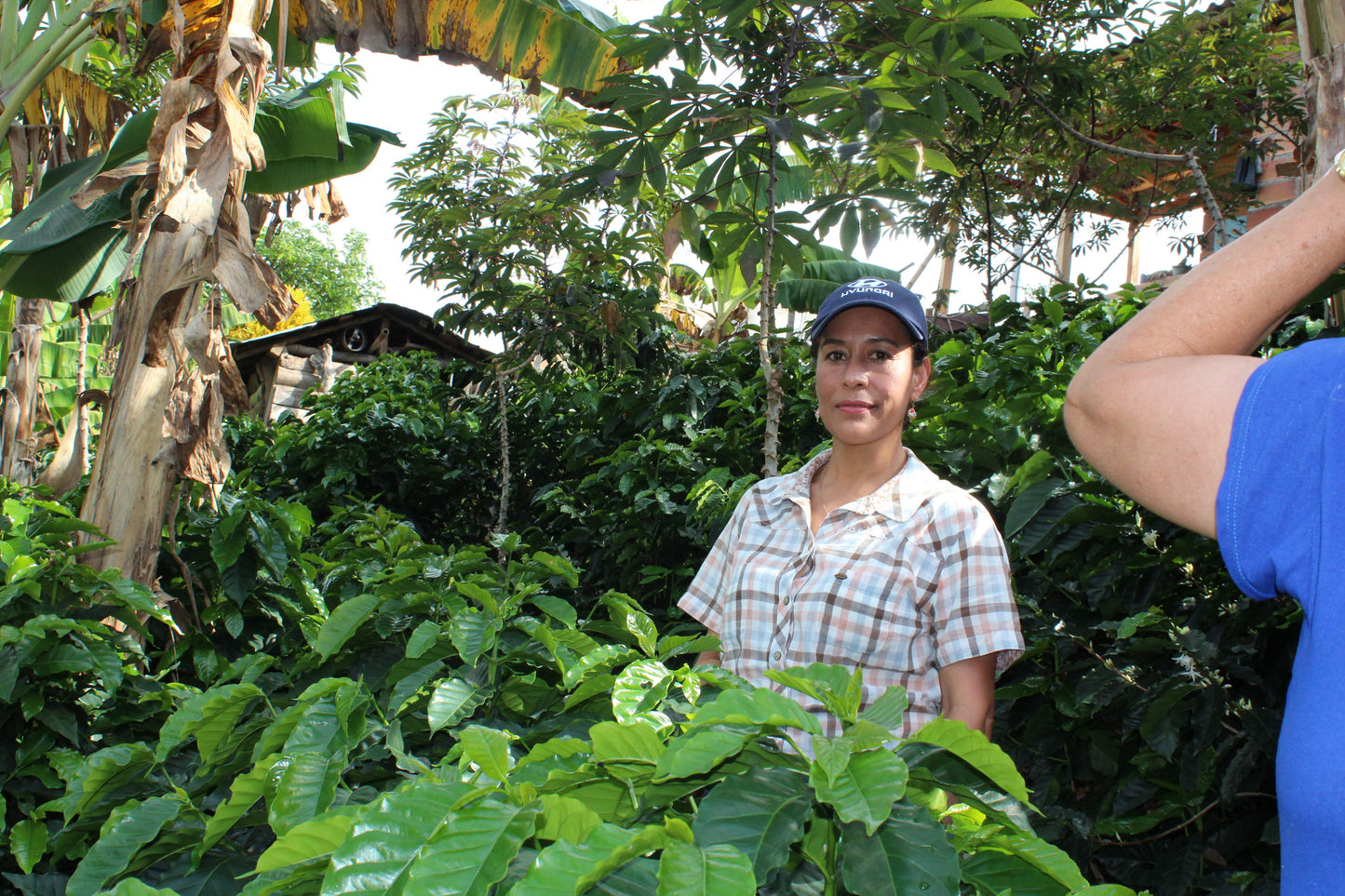 Café VALENTINA – Semi-Lavado, Notas a Naranja y Caramelo