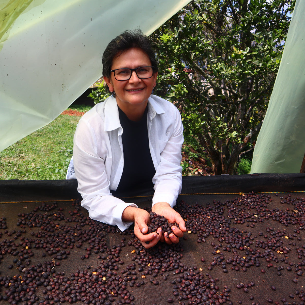 Café VALENTINA – Lavado Amagá